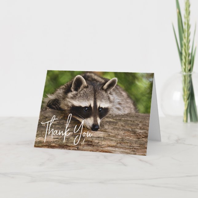Cute Raccoon Resting on a Log Thank You Card (Front)