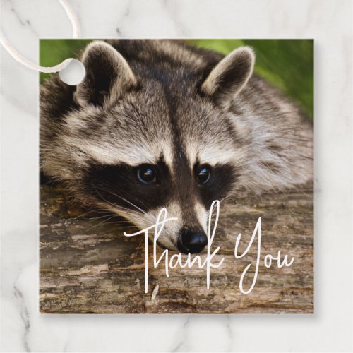 Cute Raccoon Resting on a Log Thank You Favor Tags