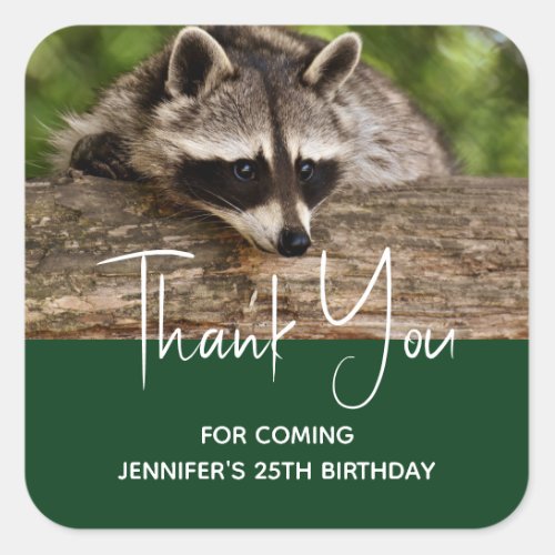 Cute Raccoon Resting on a Log Thank You Square Sticker