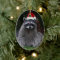 Cute Raccoon Wearing Red Santa Hat Holiday