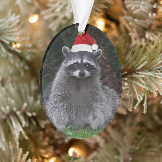 Cute Raccoon Wearing Red Santa Hat Holiday Ornament (Tree)