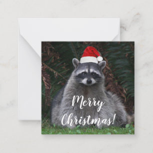Cute Raccoon Wearing Red Santa Hat Note Card