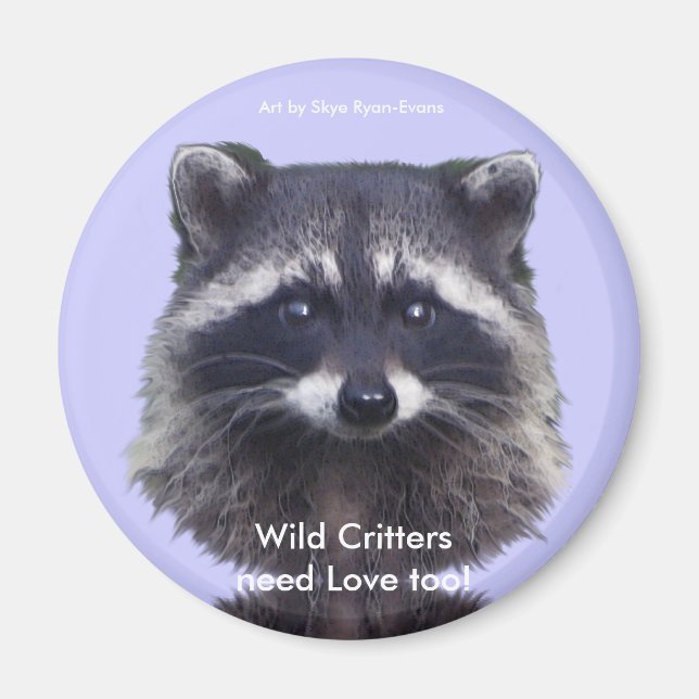 Cute Raccoon Wildlife Magnets (Front)