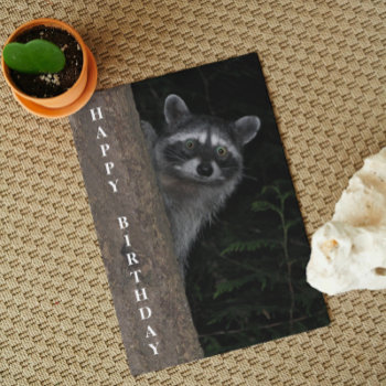 Cute Raccoon Wildlife Photo Birthday Card by northwestphotos at Zazzle