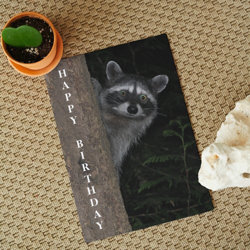 Cute Raccoon Wildlife Photo Birthday Card