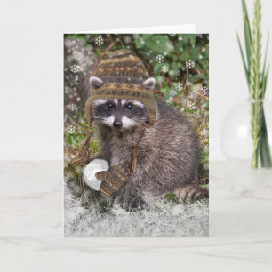Cute Raccoon with mittens and a snowball Holiday Card