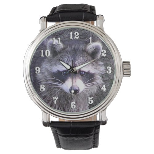 Cute Raccoon