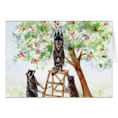 Cute Raccoons in Apple Orchard (Front Horizontal)