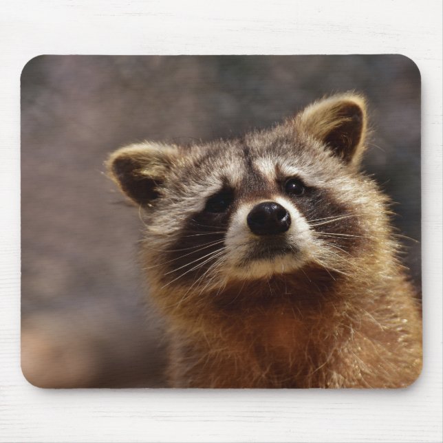 Cute Racoon Mouse Pad (Front)