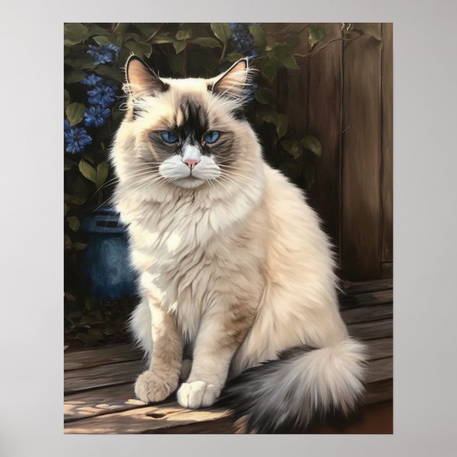 Cute Ragdoll Cat Art Print Poster (Front)