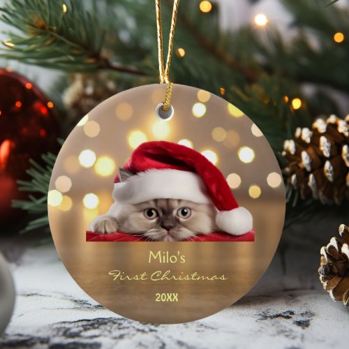 Cute Ragdoll Cat Santa Hat Paw Gold Personalized  Ceramic Ornament