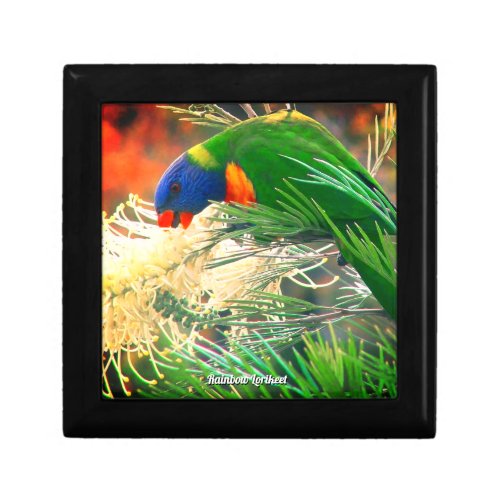 Cute Rainbow Lorikeet Green Bird Photo Gift Box