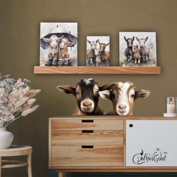 Cute Rainy Day Goats  Picture Ledge by getyergoat at Zazzle