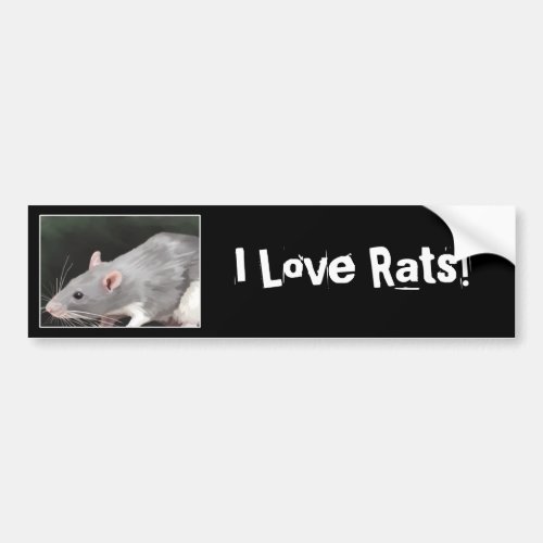 Cute Rat Bumper Sticker