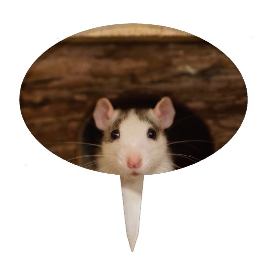 Cute Rat Cake Topper | Zazzle.com