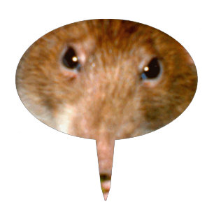 Cute Rat Face Cake Pick