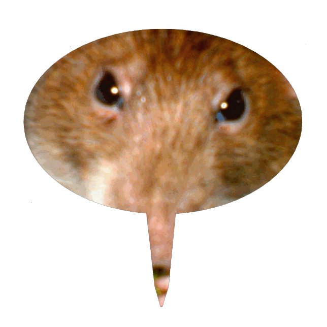 Cute Rat Face Cake Pick (Front)