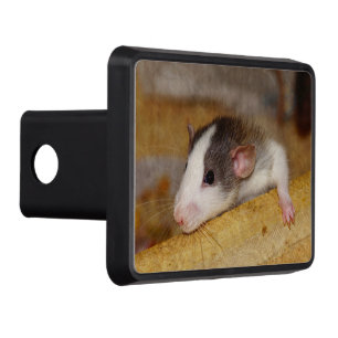 Cute Rat Hitch Cover