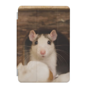 Cute Rat iPad Mini Cover