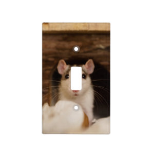 Cute Rat Light Switch Cover