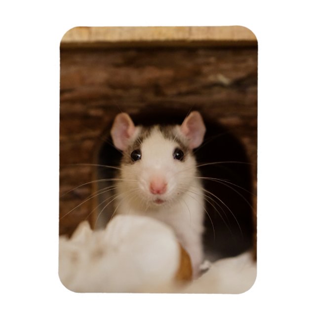Cute Rat Magnet (Vertical)