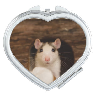 Cute Rat Mirror For Makeup