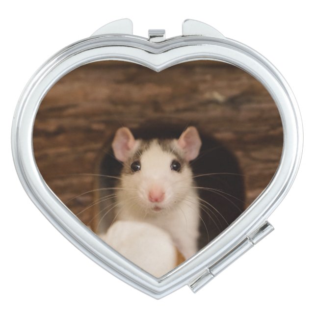 Cute Rat Mirror For Makeup (Front)