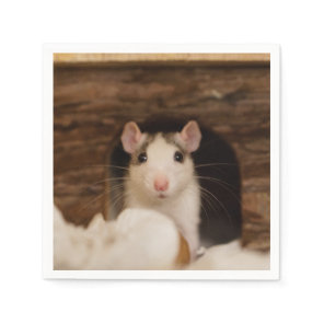 Cute Rat Napkins