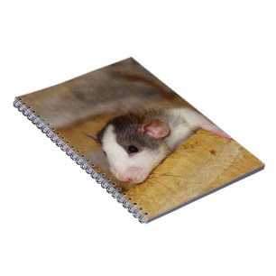 Cute Rat Notebook