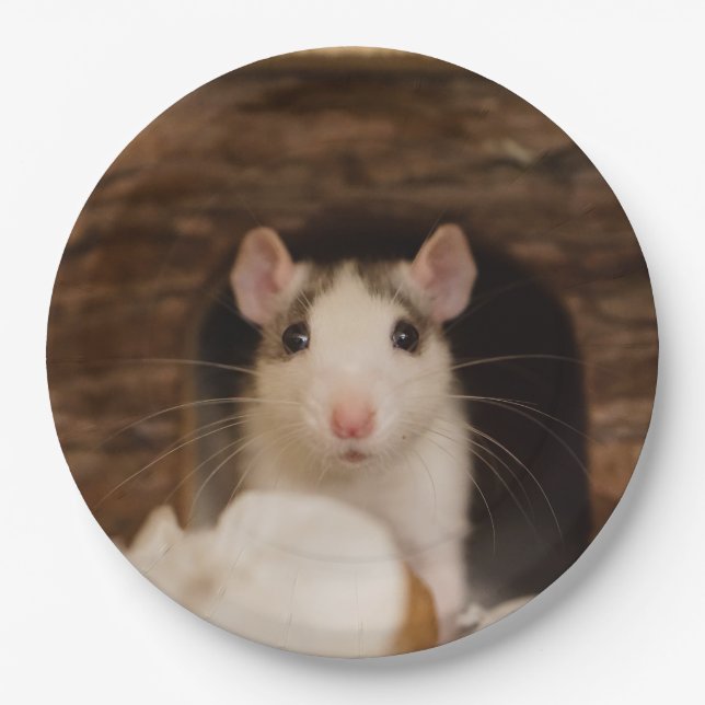 Cute Rat Paper Plates (Front)