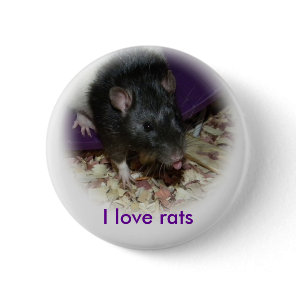 Cute rat sticking out his tongue pin