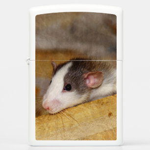 Cute Rat Zippo Lighter