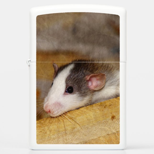 Cute Rat Zippo Lighter (Front)