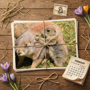 Cute Realistic Groundhog Family Photo Postcard