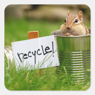 Cute Recycling Chipmunk Square Sticker