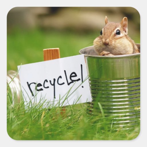 squirrel in can - "recycle"