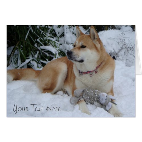 Cute red akita in snow with grey mouse toy