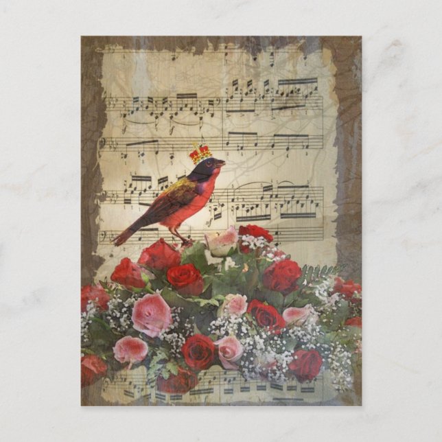 Cute red bird & vintage music sheet postcard (Front)