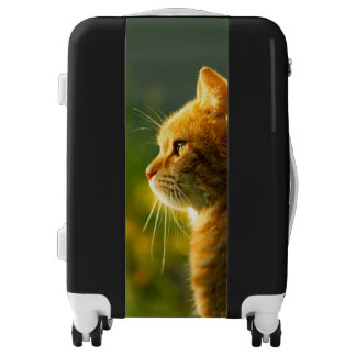 Cute Red Cat Luggage