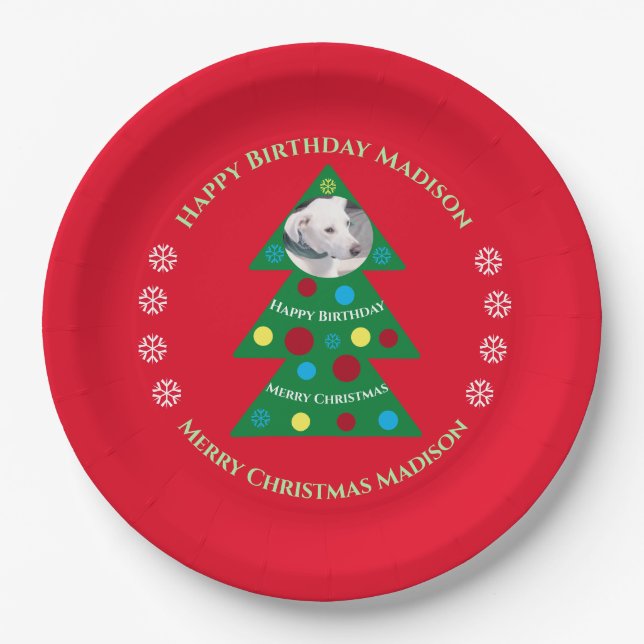 Cute Red Christmas Birthday Celebration Holiday Paper Plates (Front)