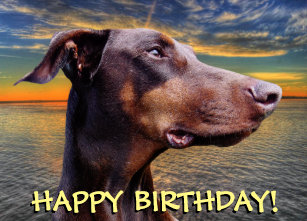 red doberman gifts on zazzle