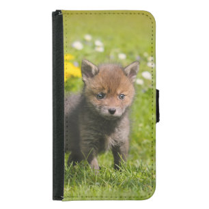 Cute Red Fox Cub Wild Baby Animal Photo - Wallet Phone Case For Samsung Galaxy S5