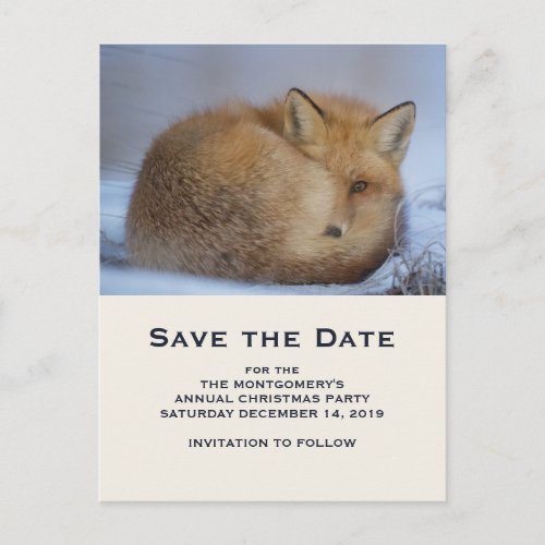 Cute Red Fox Curled Up Winter Photo Save the Date Invitation Postcard