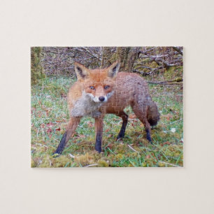 Cute Red Fox Jigsaw Puzzle