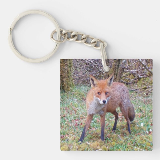 Cute Red Fox  Keychain (Front)