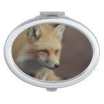 Cute Red Fox Mirror For Makeup