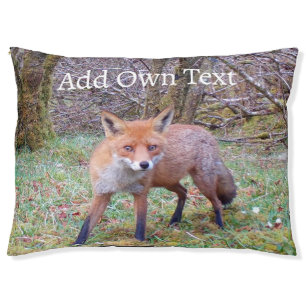 Cute Red Fox Pet Bed
