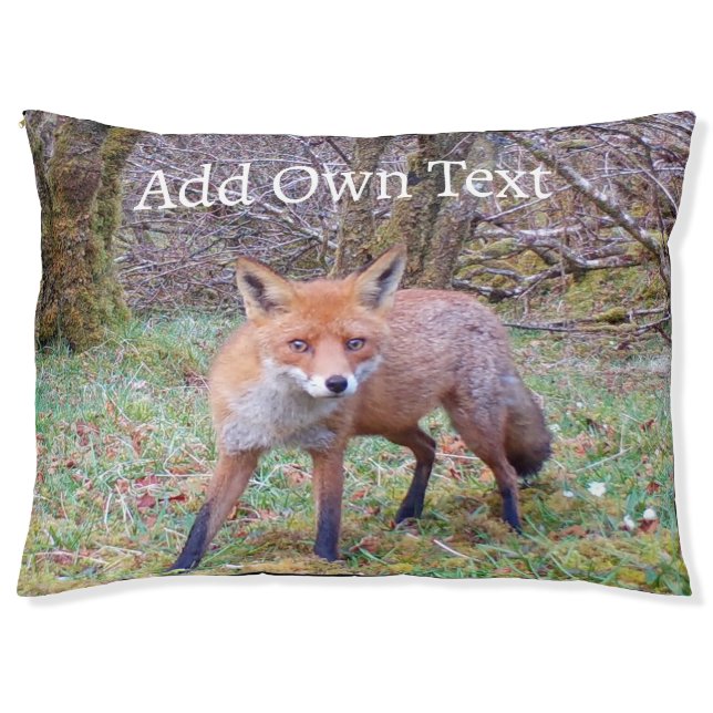 Cute Red Fox  Pet Bed (Front)