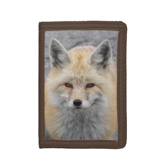 Cute Red Fox Photo Tri-fold Wallet