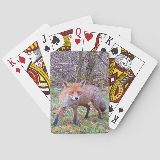 Cute Red Fox  Poker Cards (Back)